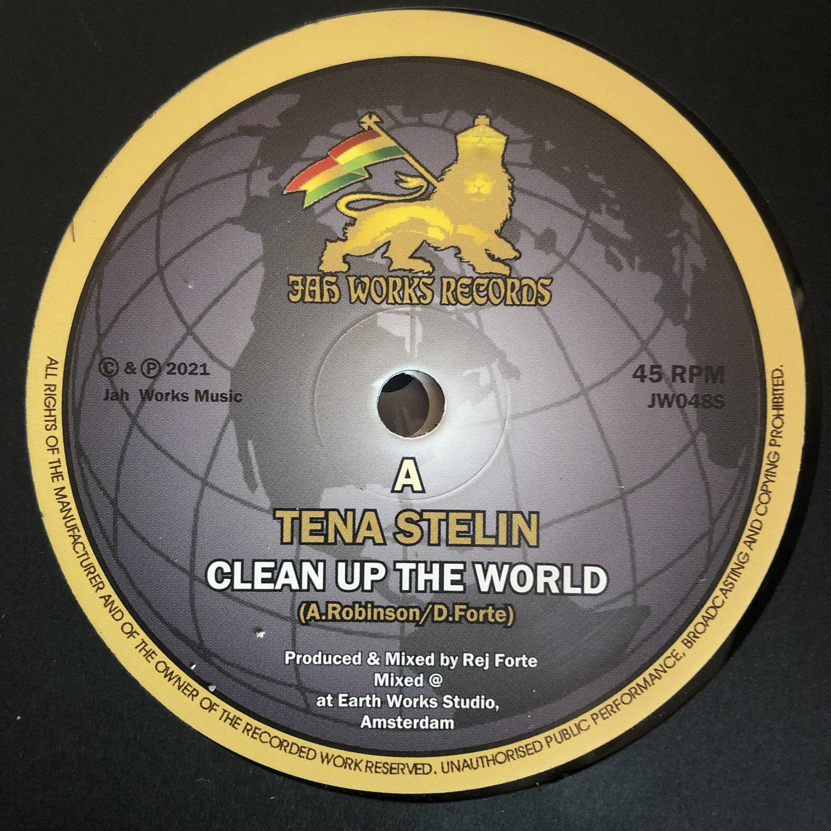 Clean Up The World by Tena Stelin and Jah Works