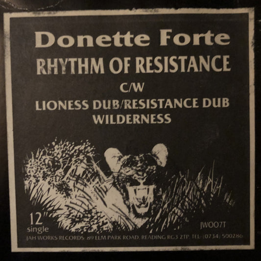 Rhythm Of Resistance by Jah Works featuring Donette Forte