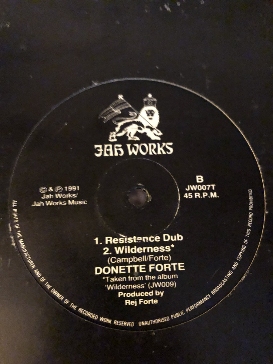 Rhythm Of Resistance by Jah Works featuring Donette Forte